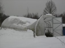 пк урожай после снегопада.jpg