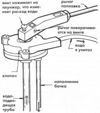 диафрагма.jpg